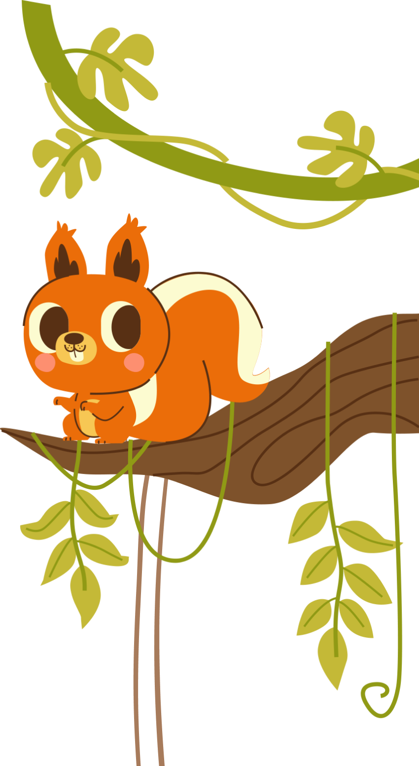 Squirrel
